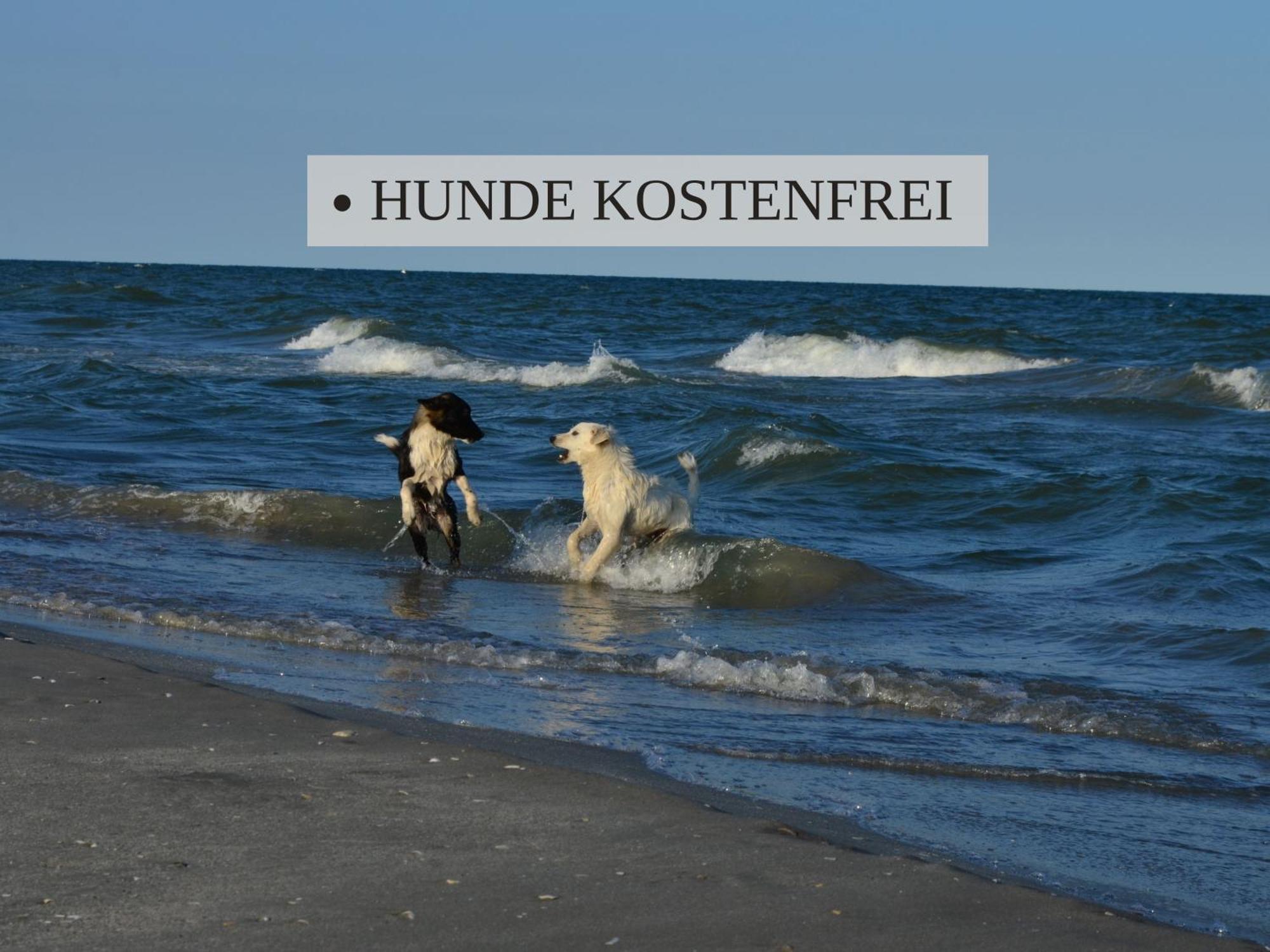 Haus Krabbe Apartments, Zentral Gelegen Im Idyllischen Nordseeort Zwischen Bremerhaven Und Cuxhaven, Hunde Kostenfrei Willkommen, Hauseigene Kostenfreie Parkplaetze Wremen Exterior foto